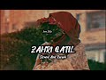 Zahri qatil  shakir baba  slowed and reverb  new kashmiri song