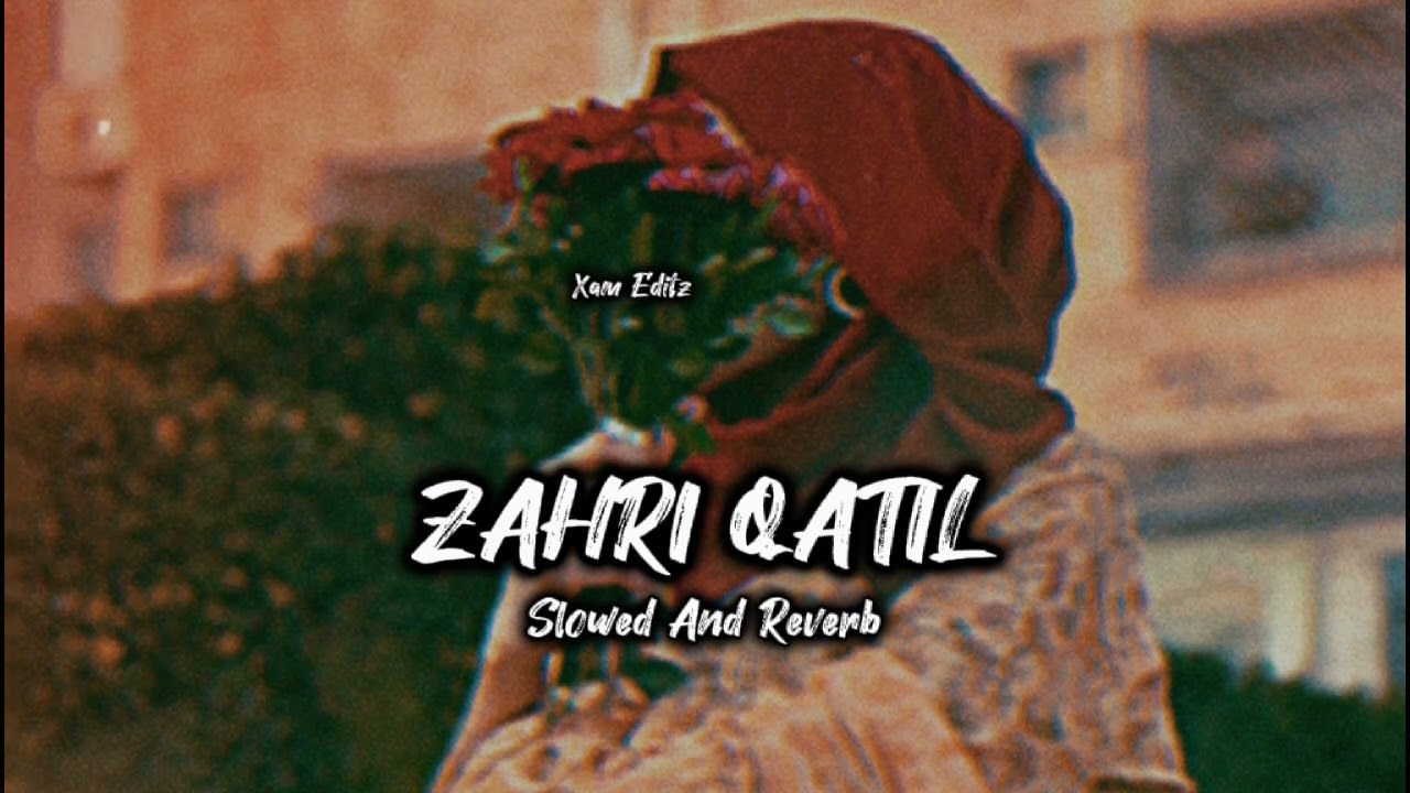 Zahri Qatil   Shakir Baba  slowed and reverb  New Kashmiri Song