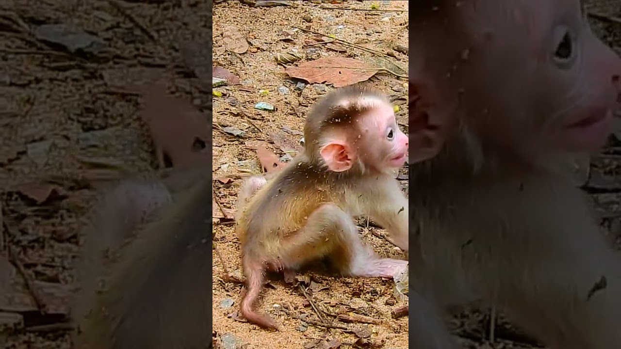 The mother’s sudden attack on her baby left everyone around in shock 10