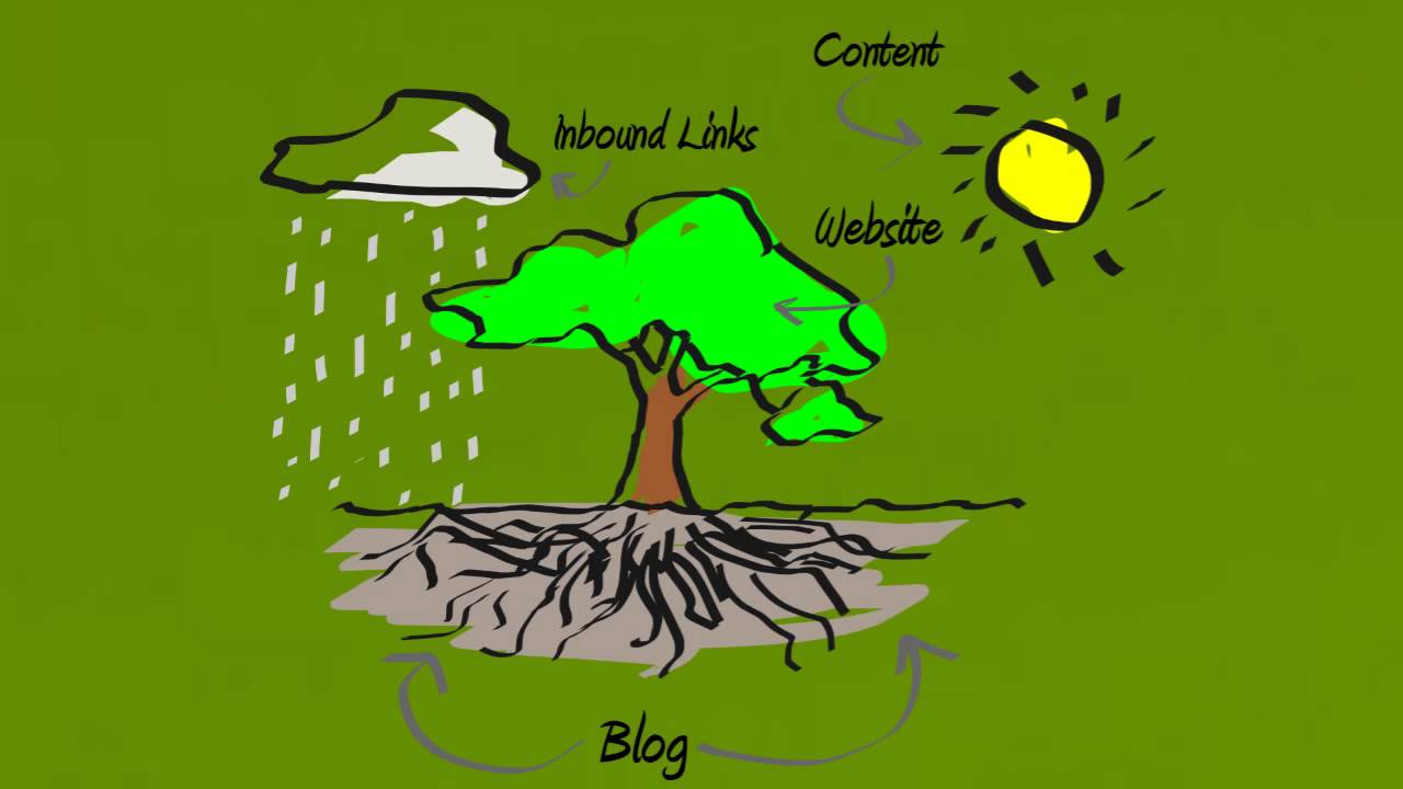 Organic SEO Services