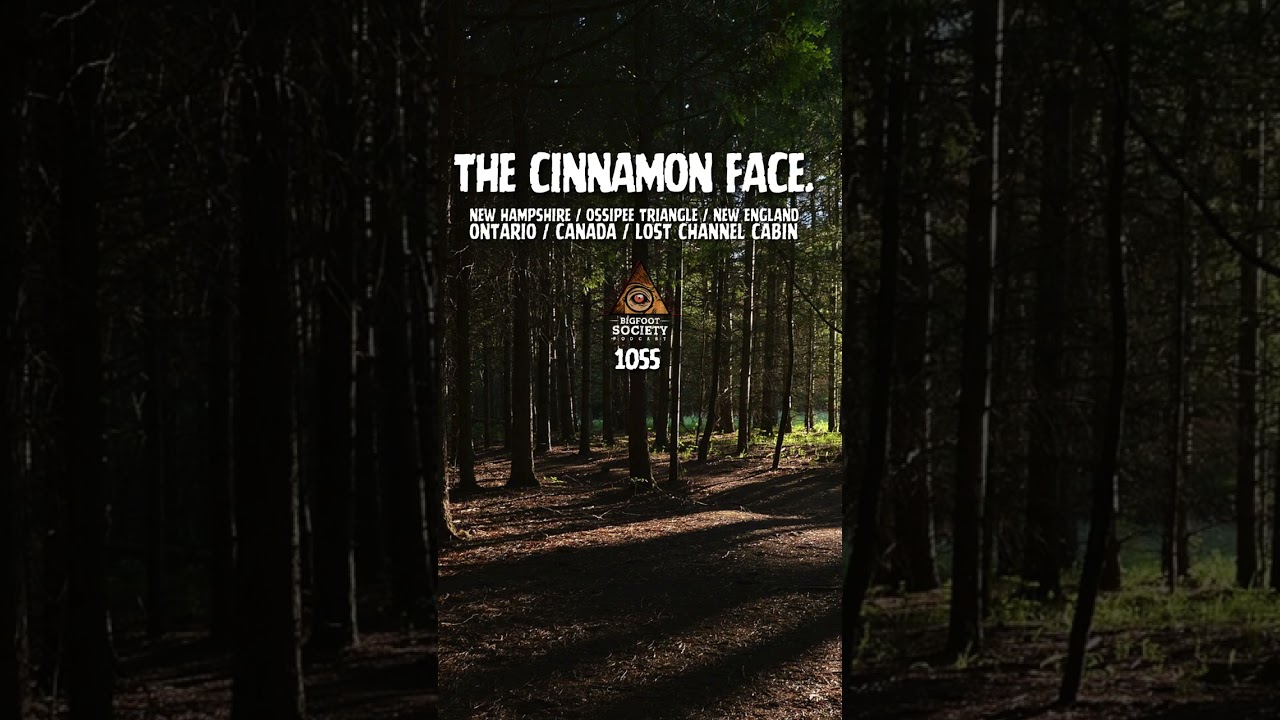 A New Hampshire hunter follows 17-inch tracks across remote bogs… and they stop in the middle of