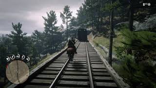 Red Dead Redemption 2 Falling through the map