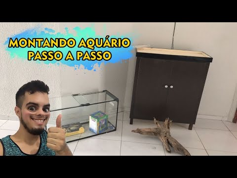 Vídeo: Eu Quero Um Aquário. Parte 1