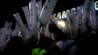 Palmeiras X Colo-Colo Ole Porco Ole Porco