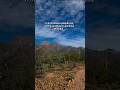 Arizona hiking #hikingwithdogs #hikingtrails #arizona #hiking