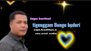 Lagu kerinci TIGENGGAM BUNGO BUDURI cover by usni Rudin cipt hen