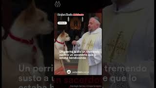 Perro no quería la bendición 😂 #comportamientocanino #perros