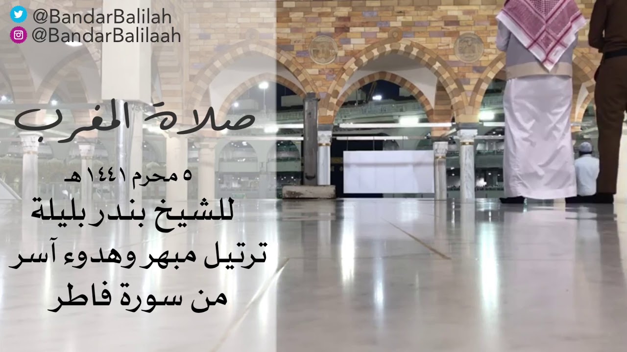 ترتيل مبهر وهدوء آسر من سورة فاطر

للشيخ بندر بليلة
٥ محرم ١٤٤١ هـ