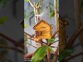 домик на дереве/ A treehouse #treehouse #домнадереве #дом #выживание #shorts #vlog #clay #пластилин