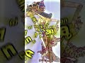 wayang 3