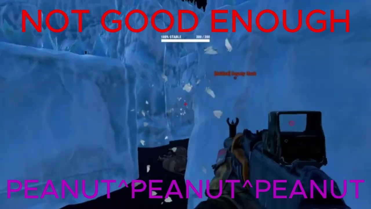 NOT GOOD ENOUGH - PEANUT^PEANUT^PEANUT
