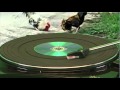 Desmond and the tutus - Tattoo (First single off album mnusic)