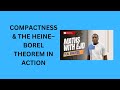16. Compactness and the Heine–Borel Theorem in Action