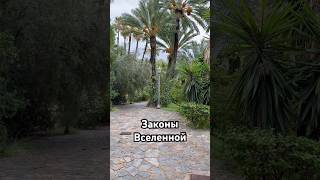 Законы Вселенной #закон #вселенная #силасознания #успех #осознанность