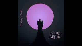 Vioflesh - In The Depth