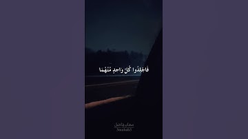 سورة النور | أية ٢ | القارئ محمد صديق المنشاوي #quran #3mohab3