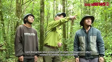 Lâm Đồng tăng cường bảo tồn đa dạng sinh học