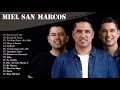 Las 20 Mejores Canciones de Miel San Marcos