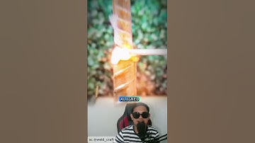 Slechts weinigen kennen deze methode! Hoe je de wortels van sterke ijzeren wapening verbindt #shorts