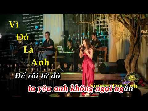 VÌ ĐÓ LÀ ANH KARAOKE TUỆ LINH SINGER