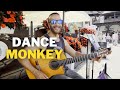 Dance Monkey Acoustic Guitar 