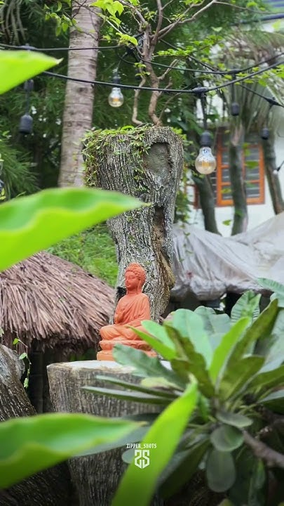 tropical-trip-resto-bar-restobar-bar-food-enjoy-trending