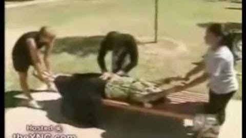 TEXT CASH NETWORK vs. Cash-Texts.com cashtexts OCT. 23, 2011 NETWORK UPDATE (Half woman)