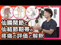 【仙腸関節痛】仙結節靱帯の疼痛の評価と解釈