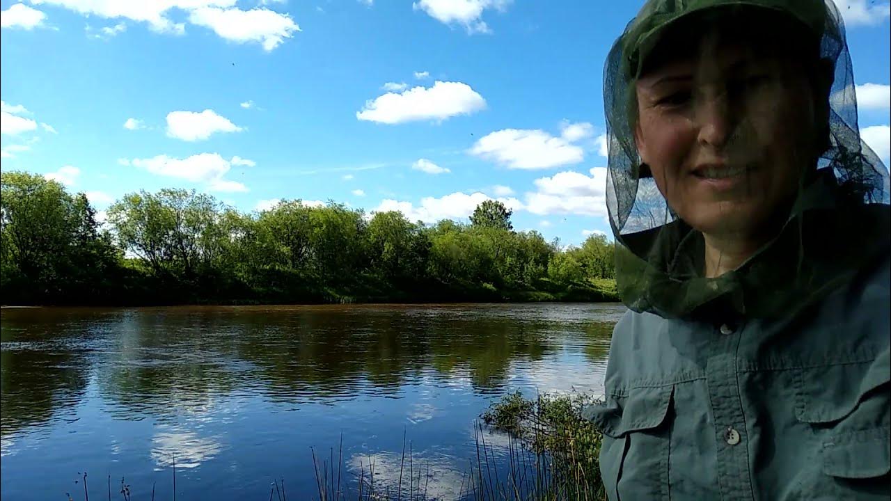 Река виледь архангельская область Река виледь архангельская область