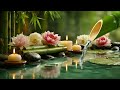 relaxing music 24/7 | deep sleep music #relaxing #sleep #naturesounds #relaxingmusic #trending #2026