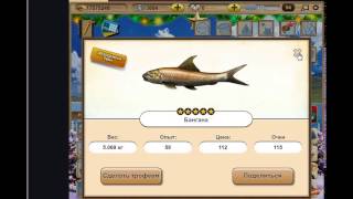 Гайд по игре Let's Fish - Как поймать легендарную рыбу Вали Гайд по игре Let's Fish - Как поймать легендарную рыбу Вали