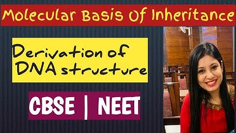 derivation of dna structure|molecular basis of inheritance|scienceatease