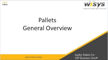 Pallets Overview - Agility Pallets for SAP Business One