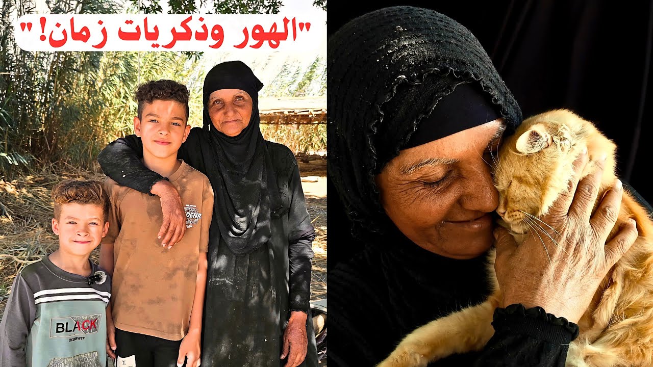 ضيافة الهور الأصيلة عد الحجية أم سلمان 🌾 | سوالف وكرم سومري