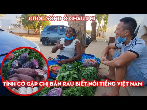 Video Chị Bán Rau Đáng Yêu ở Châu Phi Biết Nói Tiếng Việt... - youtube