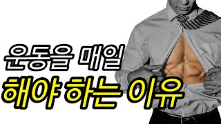 똑같은 근육을 매일 운동하면 안될까? 운동은 매일 하면 좋습니다.