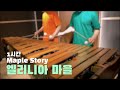 [1시간 반복재생] 메이플스토리 엘리니아 마을 (When the Morning Comes – Pulse Marimba Cover)