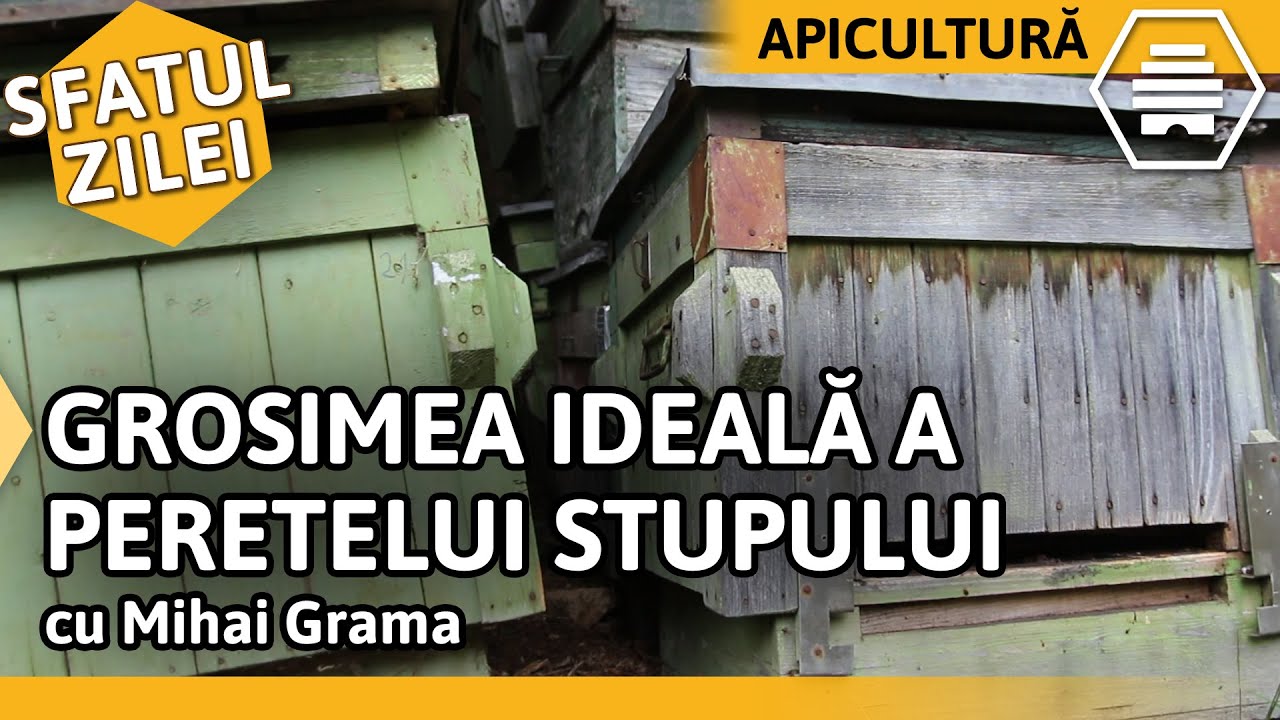 GROSIMEA IDEALĂ A PERETELUI STUPULUI - cu Mihai Grama [Sfatul zilei]