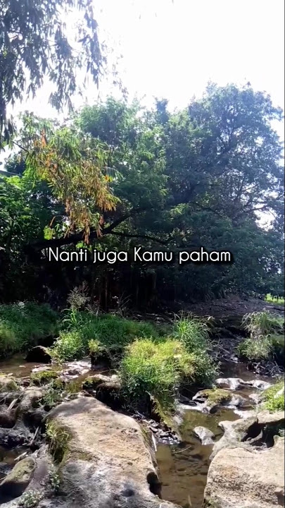 Nanti juga Kamu paham #motivasi#katabijakkehidupan#katanasehat#youtubeshorts