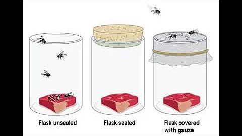 Homunculus Unveiled -  Jesus LIBER VACCAE Artificial Generation Lost Esoteric Secrets