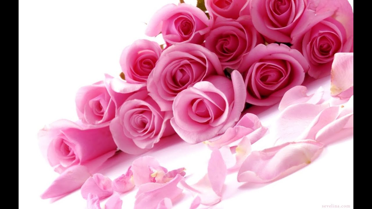 Cancer: February 2021 (14-20) **Four Way Offer! The Mystery Offer!** (Peek At Your Partner)