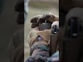 This Drill Tests Pure Courage #shorts #military #army #militaryshorts #usmc #usashorts #youtubeshort