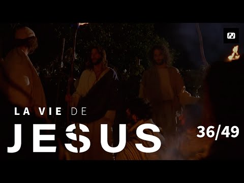 The Vine and Its Branches | The Life of Jesus | 36/49