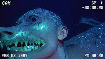 Scientists Capture Disturbing Creatures From the Ocean Floor