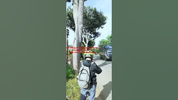 Đường số 13 Vòng xoay Hòa Long mới TP Bà Rịa, Bà Rịa Vũng Tàu #shorts