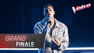 Grand Finale: Johnny Manuel Sings 'My Heart Will Go On' | The Voice Australia 2020