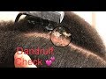 ASMR Dandruff Scratching Hair Combing + TV Sounds + Relaxation