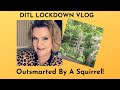 DITL Lockdown Vlog: Outsmarted by a Squirrel!