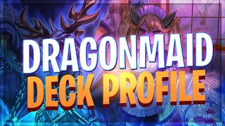 THE BEST DRAGON DECK!?! DRAGONMAID BYSSTED COMBO + DECK PROFILE! Yu-Gi-Oh