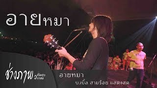 อายหมา | บ.เบิ้ล สามร้อย Live chords